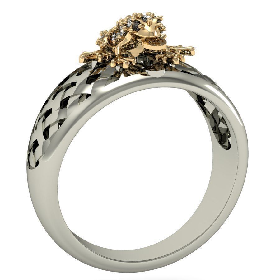 ring frog with a coin    3D print model_3