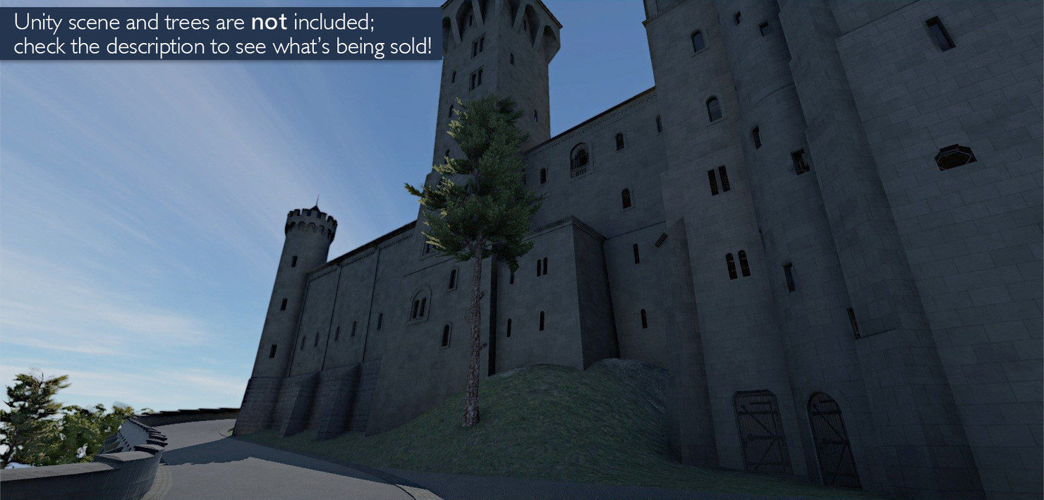 Neuschwanstein Castle 3D model_5