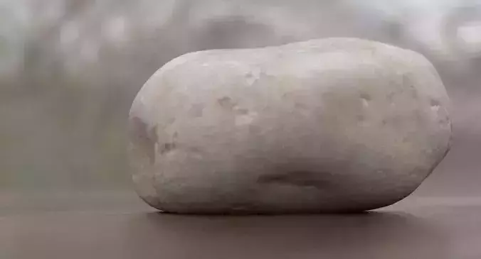 Round Shaped Limestone Pebble 3D model