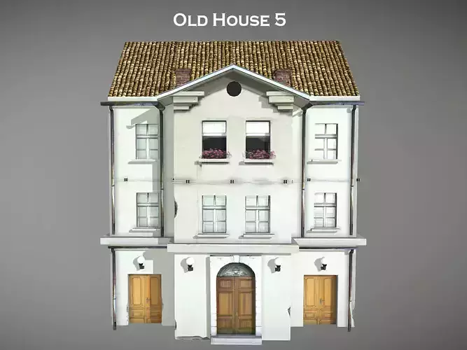 Old House 5