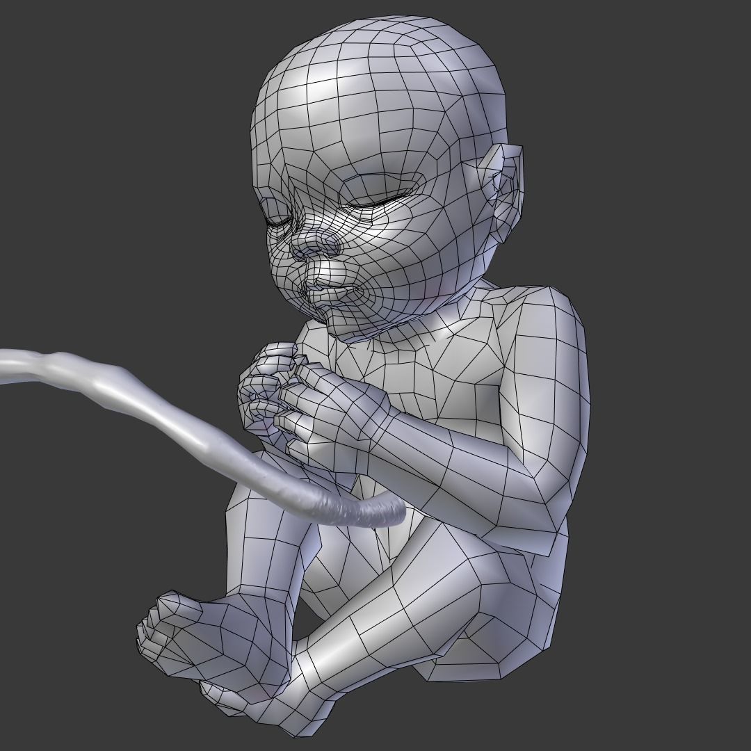Prenatal baby 3D model_1