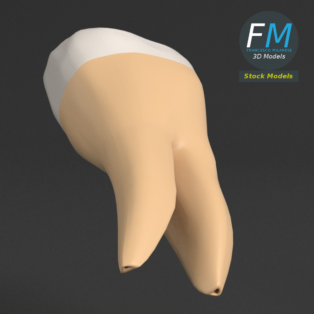 Stylized human first molar tooth Low-poly 3D model_3