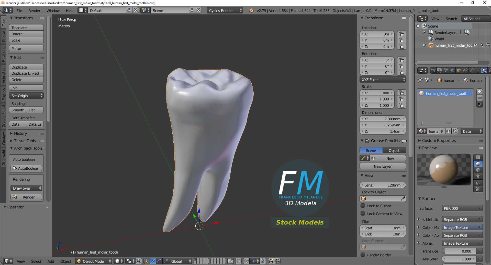 Stylized human first molar tooth Low-poly 3D model_9