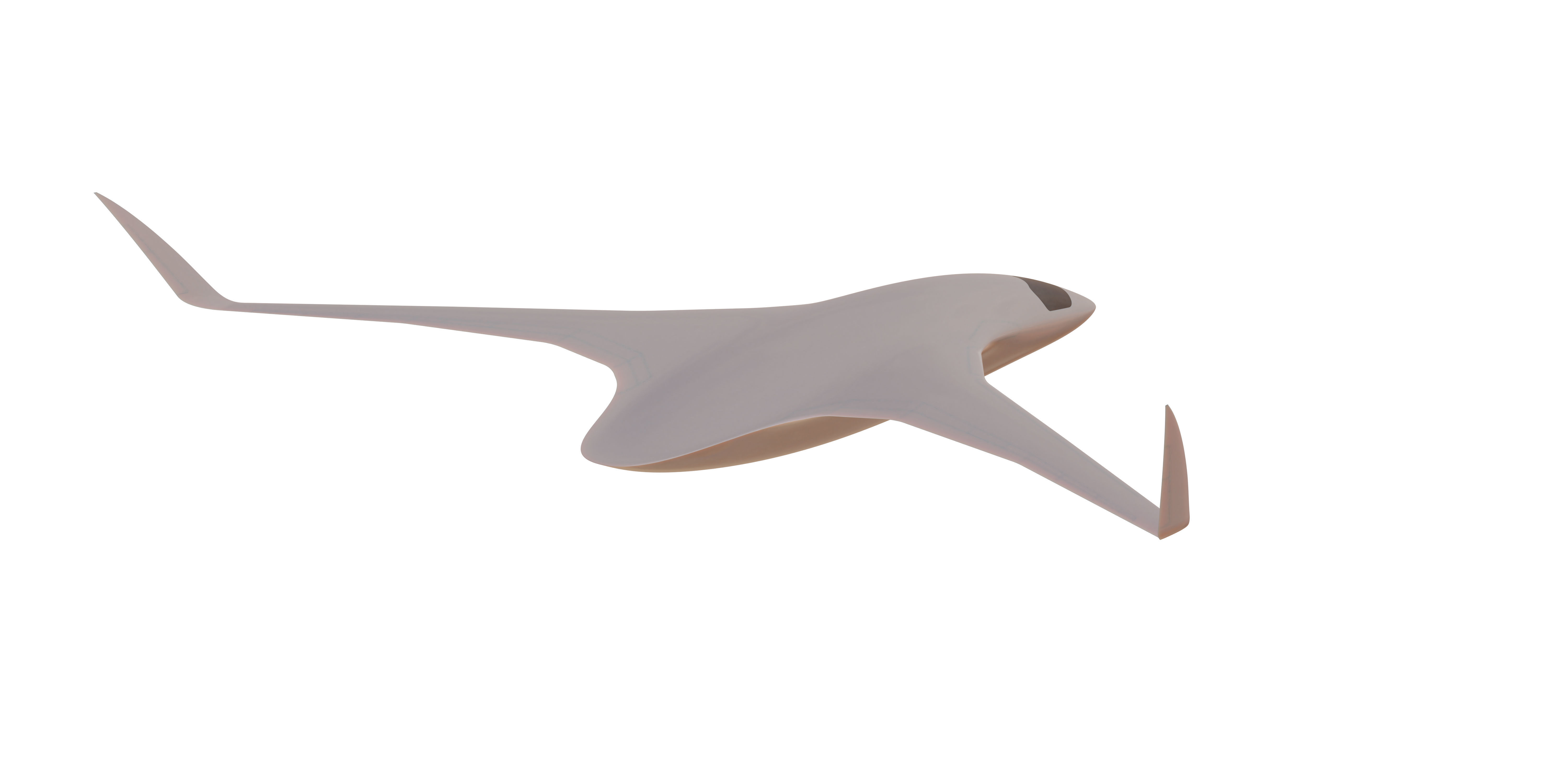 BWB X-Stream BT 3D model_13