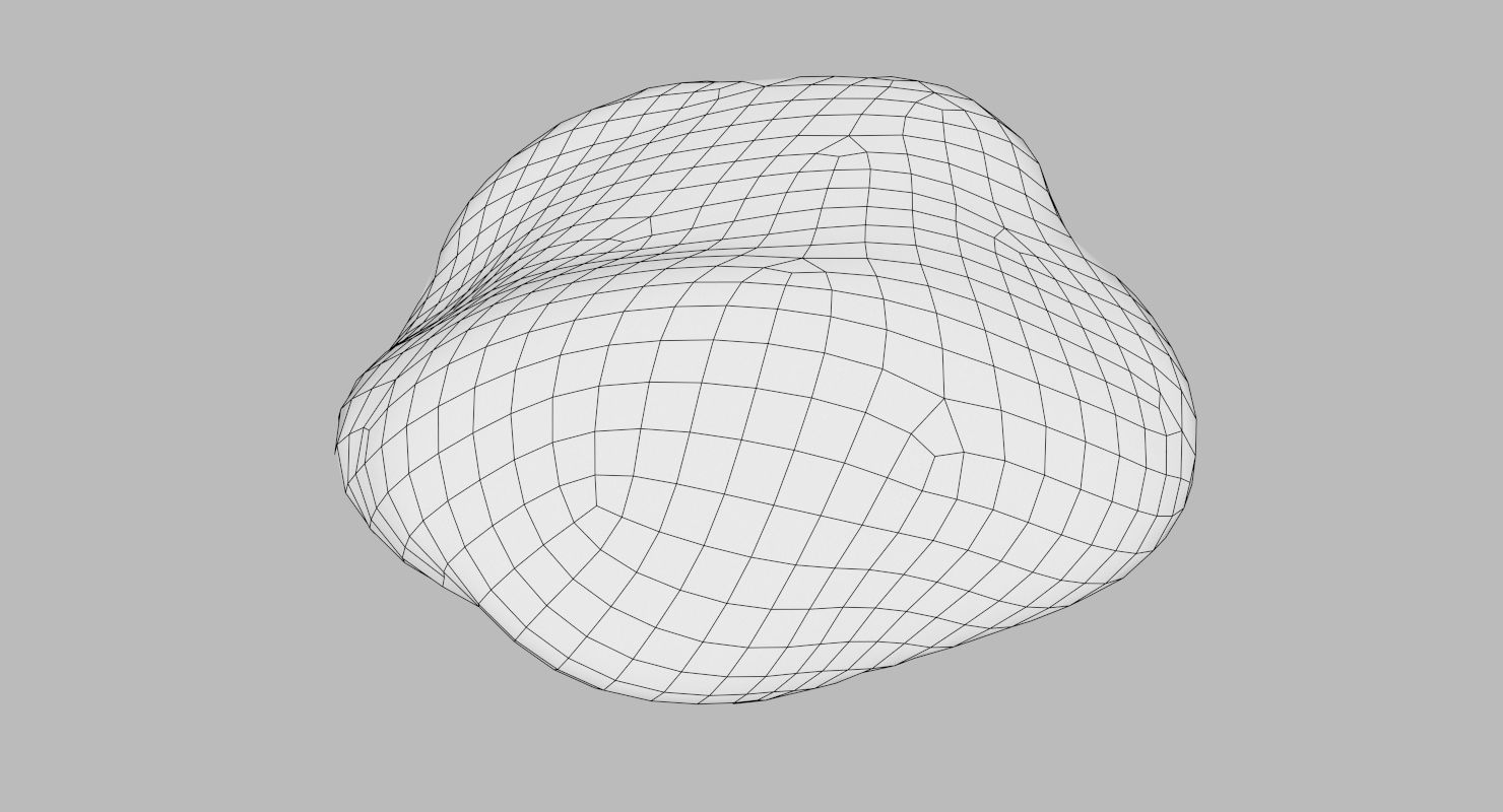 Oblong Limestone Pebble 3D model_16