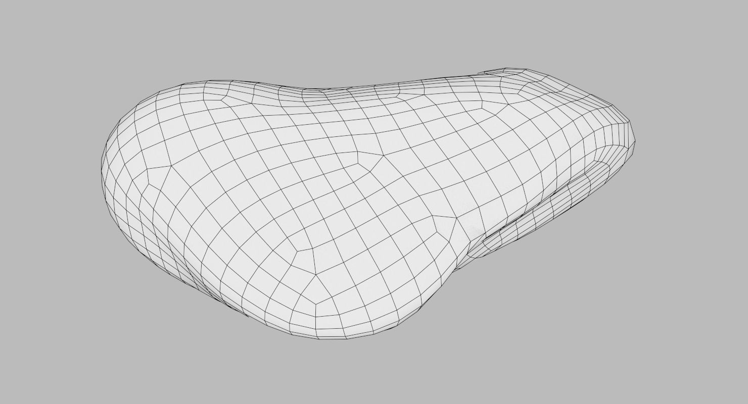 Oblong Limestone Pebble 3D model_17