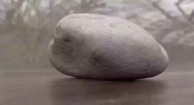 Oblong Limestone Pebble 3D model