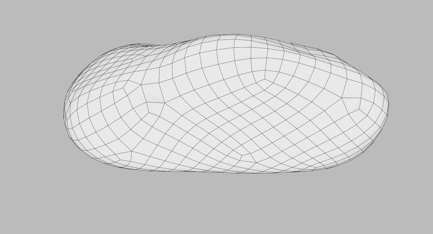 Oblong Limestone Pebble 3D model_19