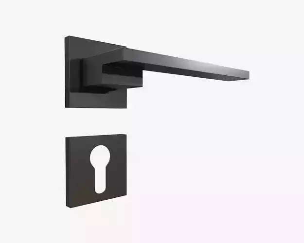modern door handle with PZ square rose