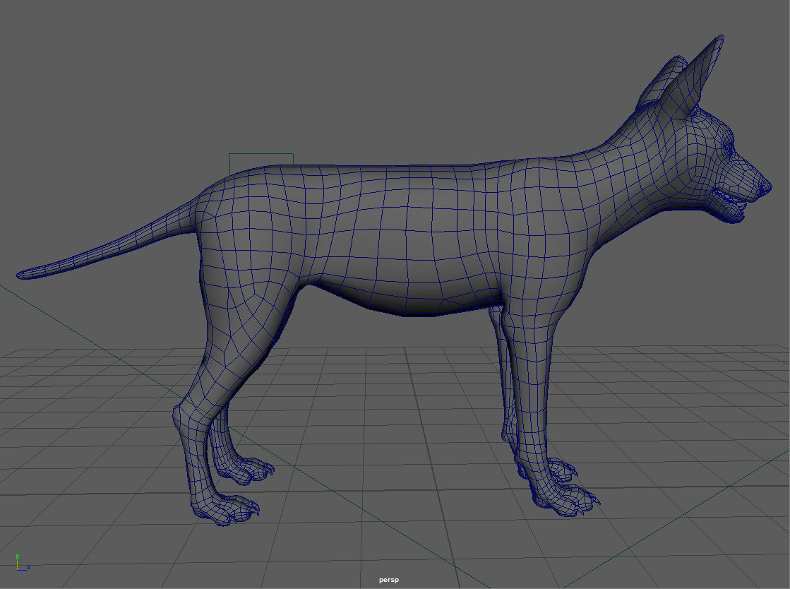 African wild dog 3D model_8