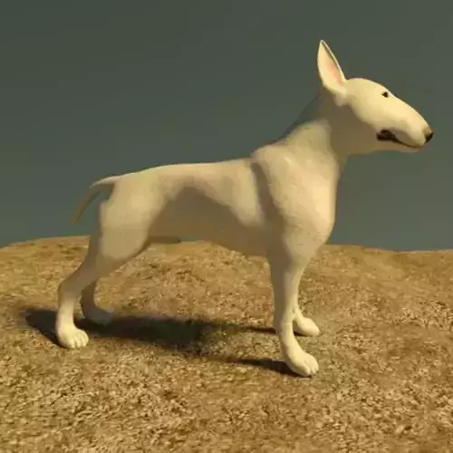 Bull Terrier 3D model