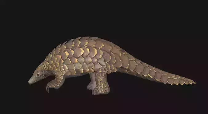 Pangolin