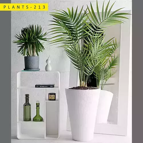 PLANTS 213
