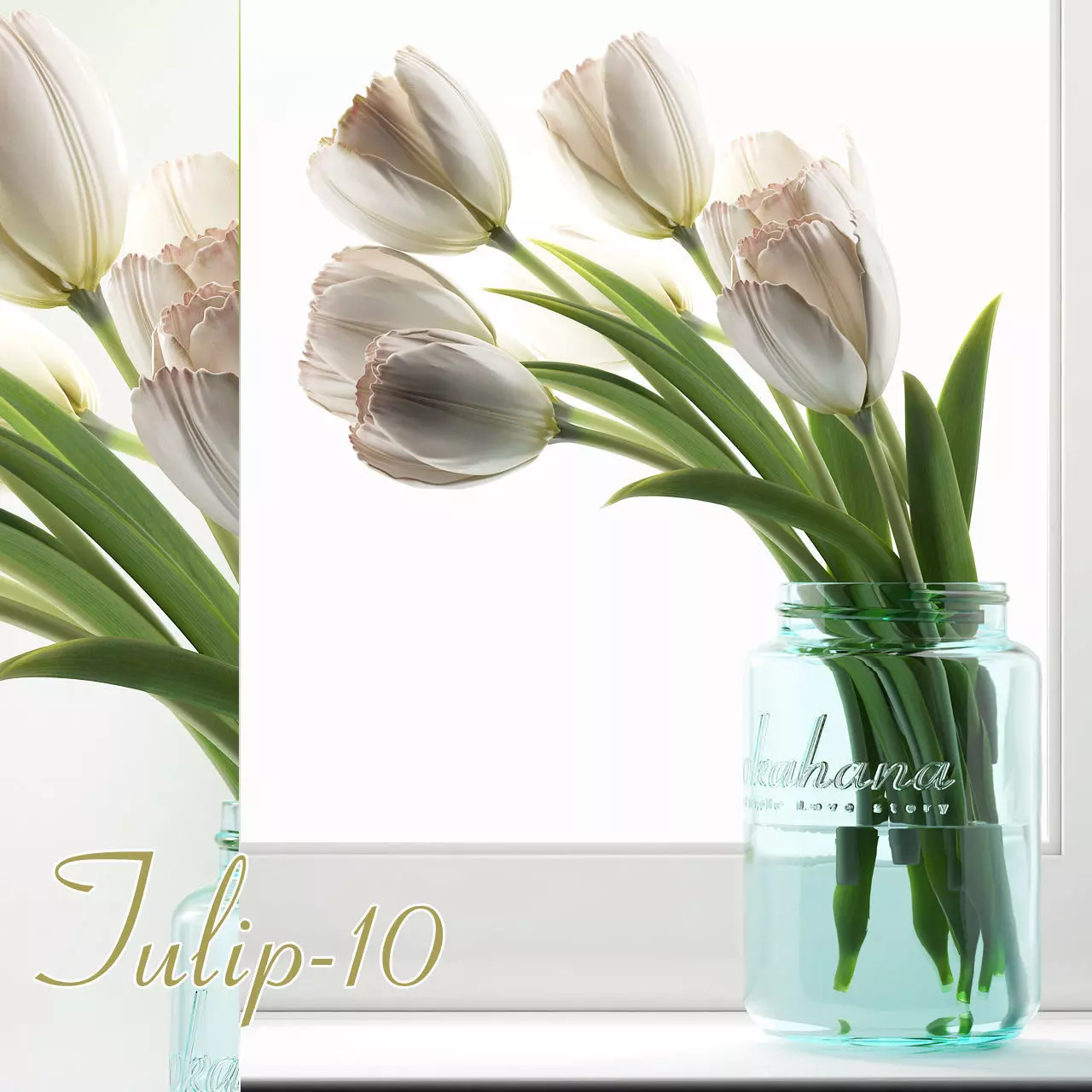 TULIP 10 3D model