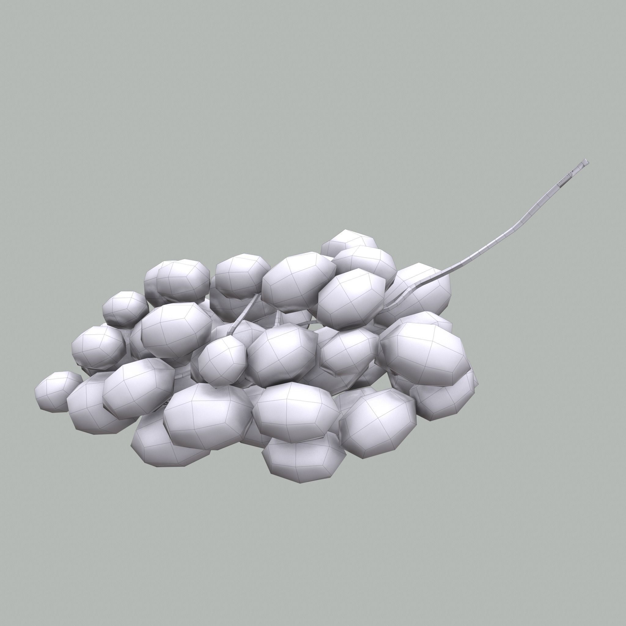 Delicious Purple Grapes  Low-poly 3D model_25