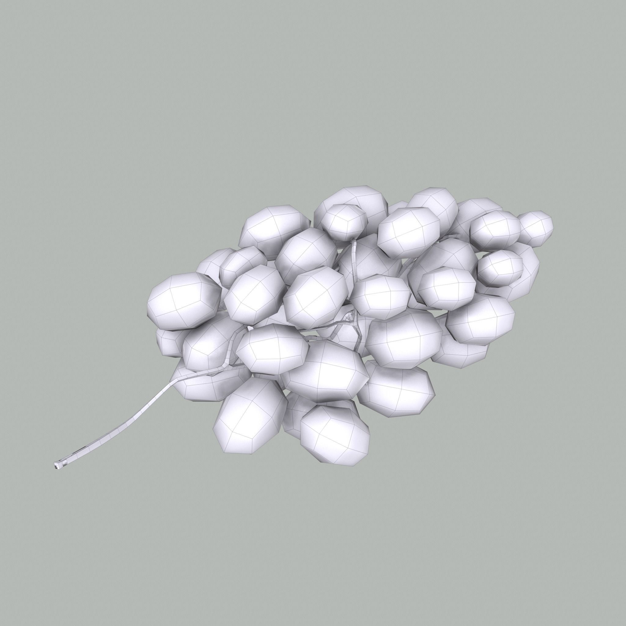 Delicious Purple Grapes  Low-poly 3D model_26