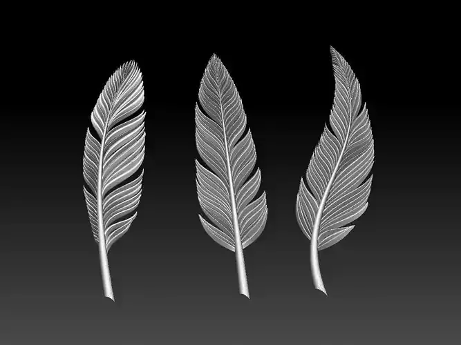 Feather Set three silver feathers