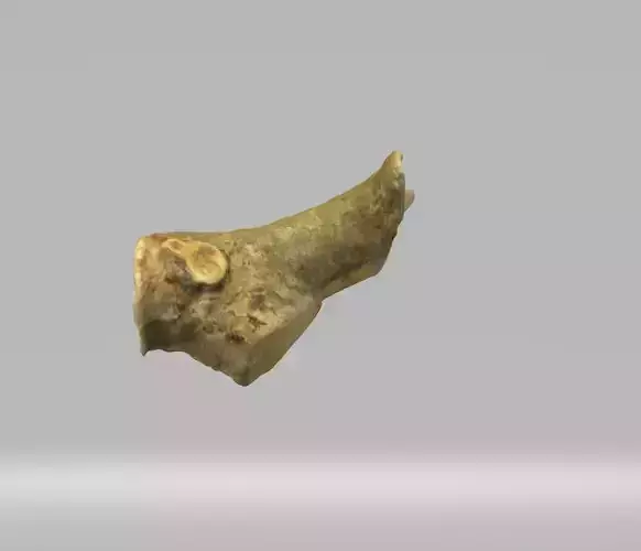 PBR Log 1 Photorealistic