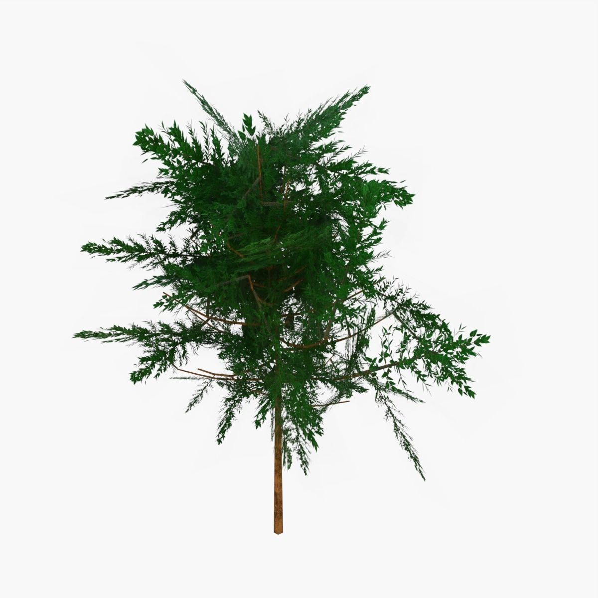 Plains Landscape 1 Low-poly 3D model_26