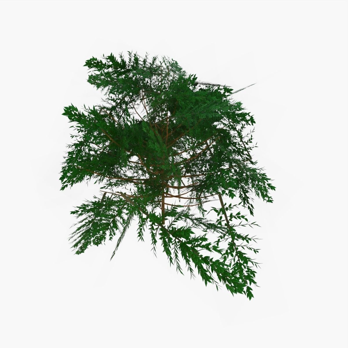 Plains Landscape 1 Low-poly 3D model_22