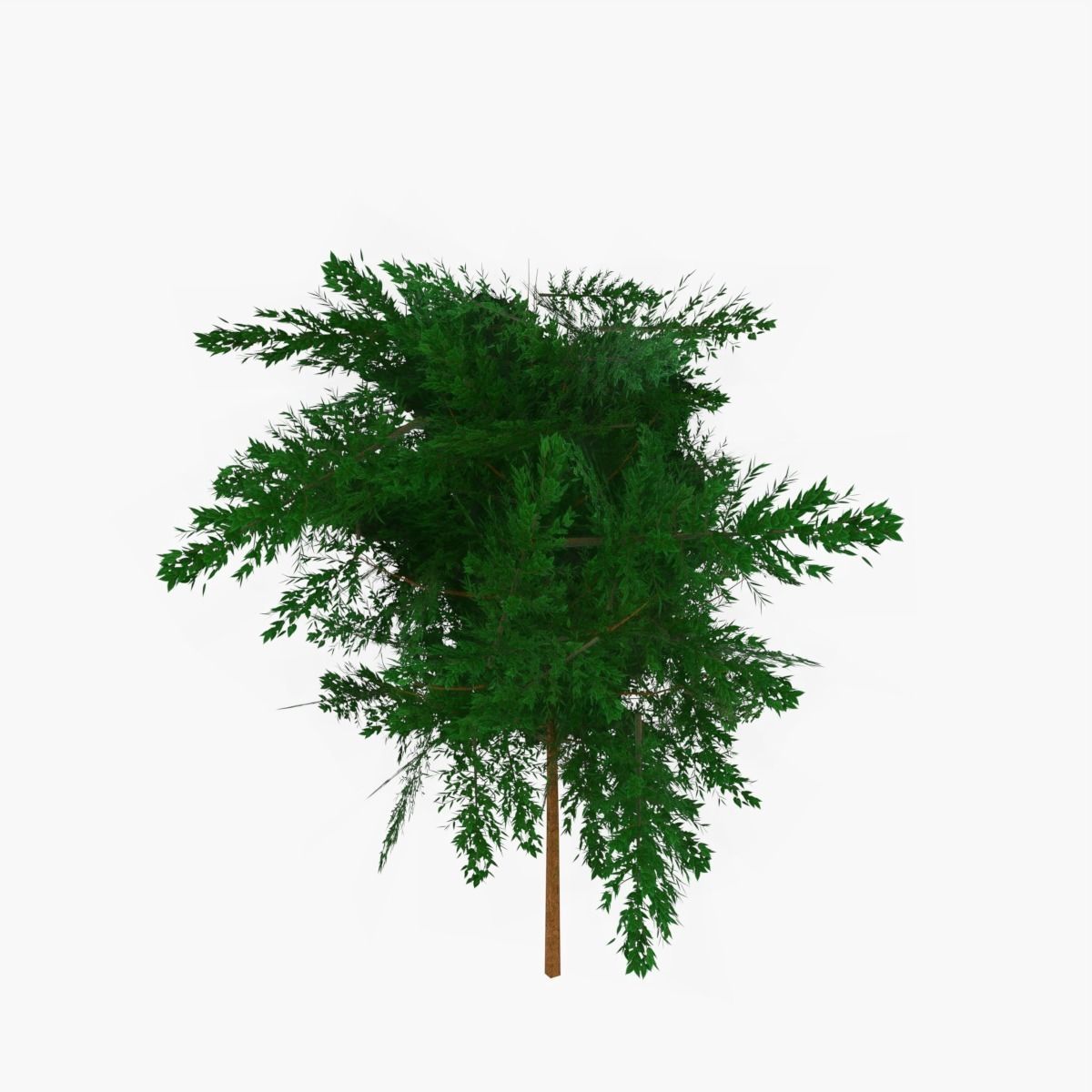 Plains Landscape 1 Low-poly 3D model_20