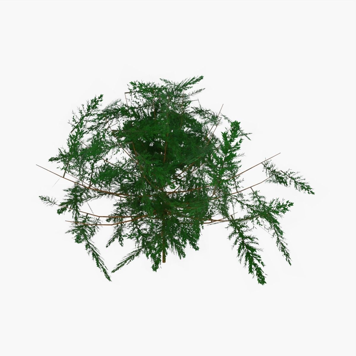 Plains Landscape 1 Low-poly 3D model_24