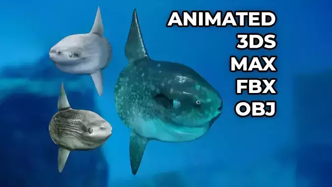 Sunfish - Animated and Gameready