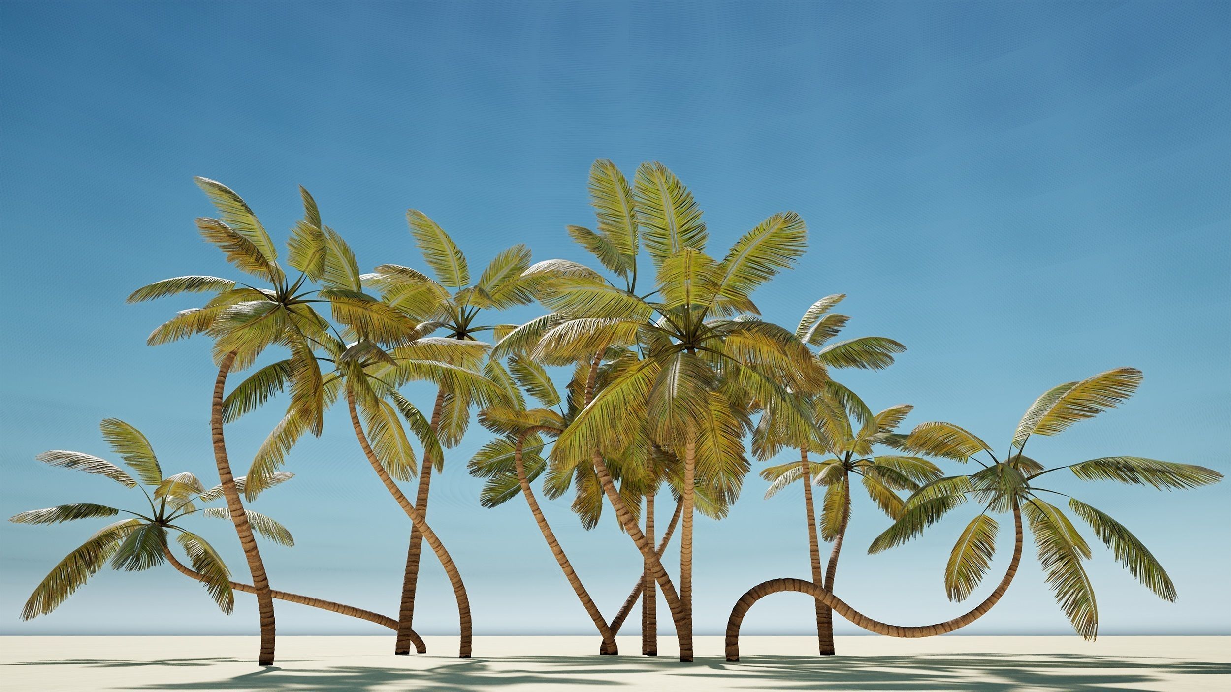 Palm trees - PBR Low-poly 3D model_15