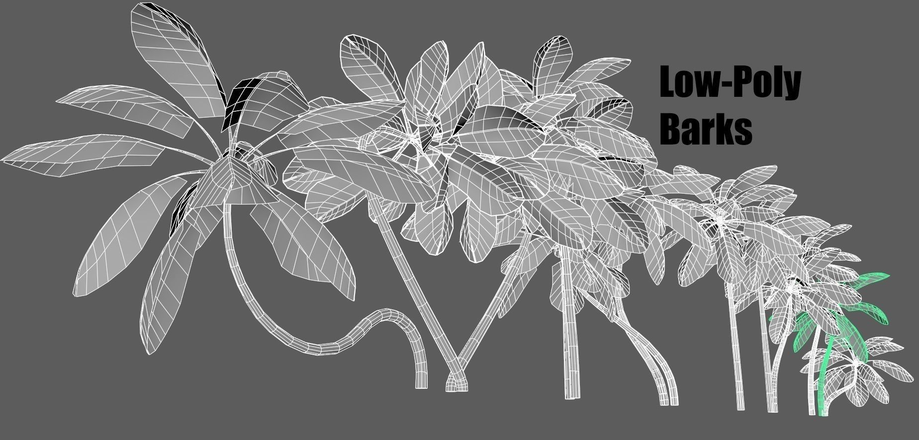 Palm trees - PBR Low-poly 3D model_2