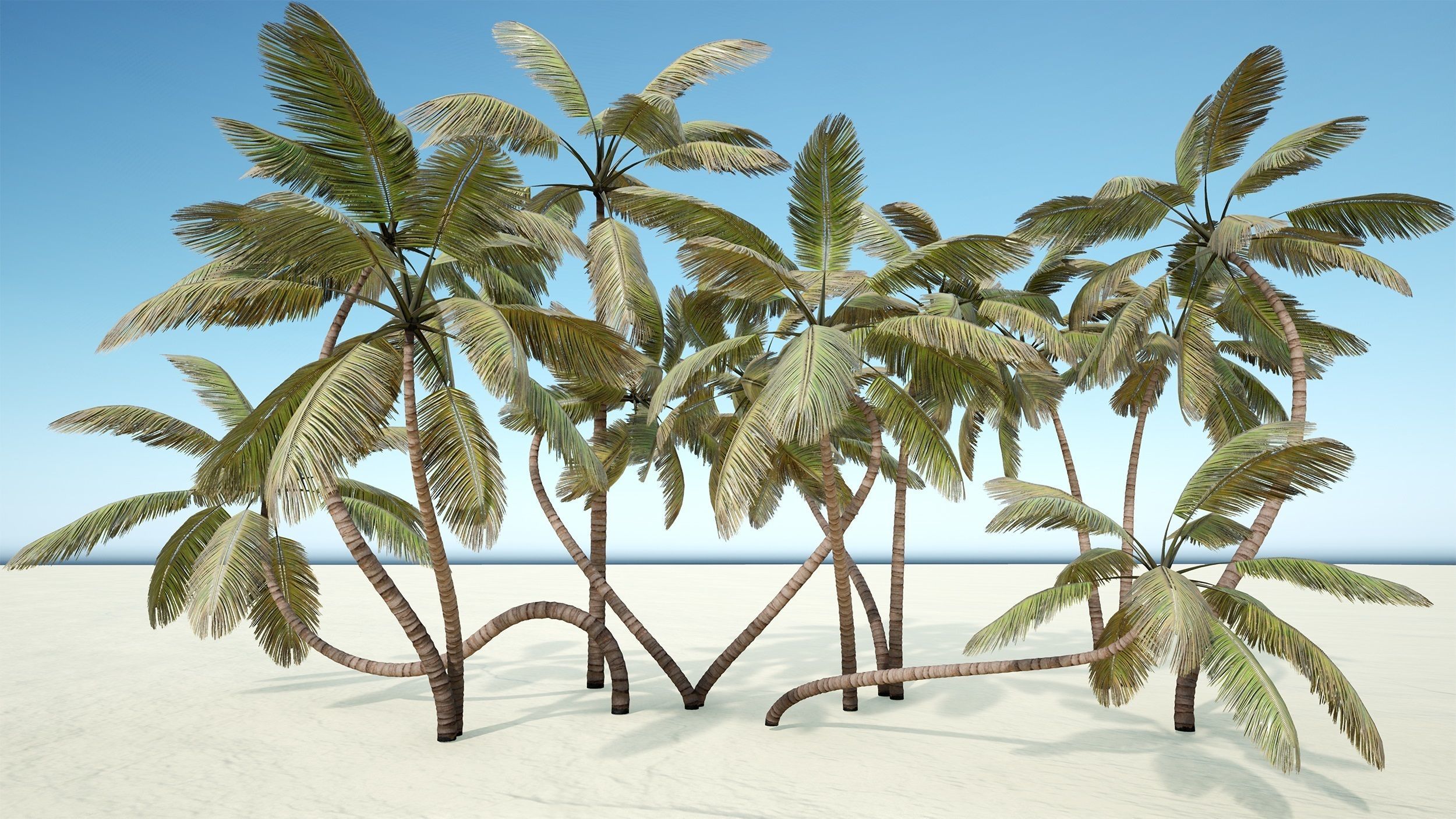 Palm trees - PBR Low-poly 3D model_20