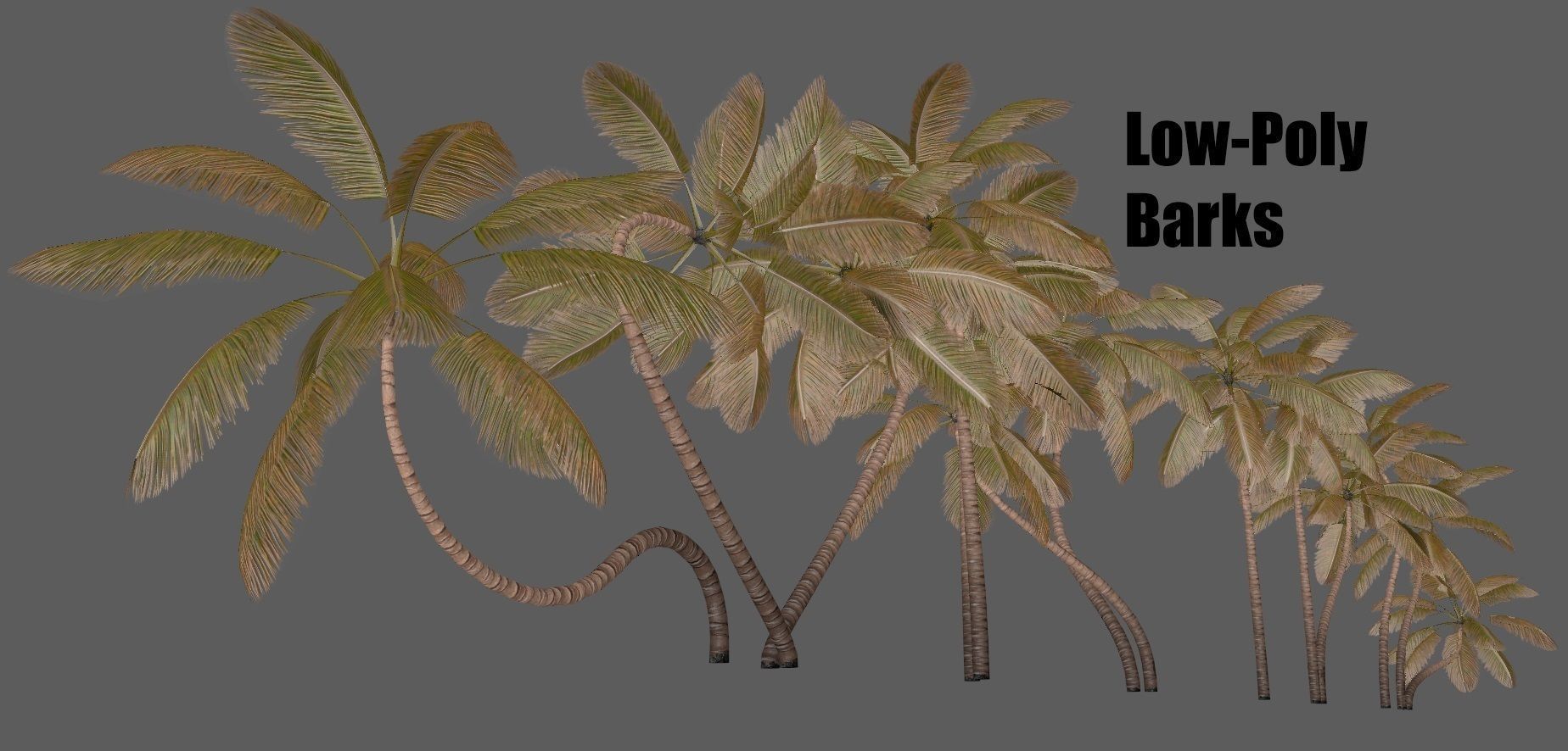 Palm trees - PBR Low-poly 3D model_12