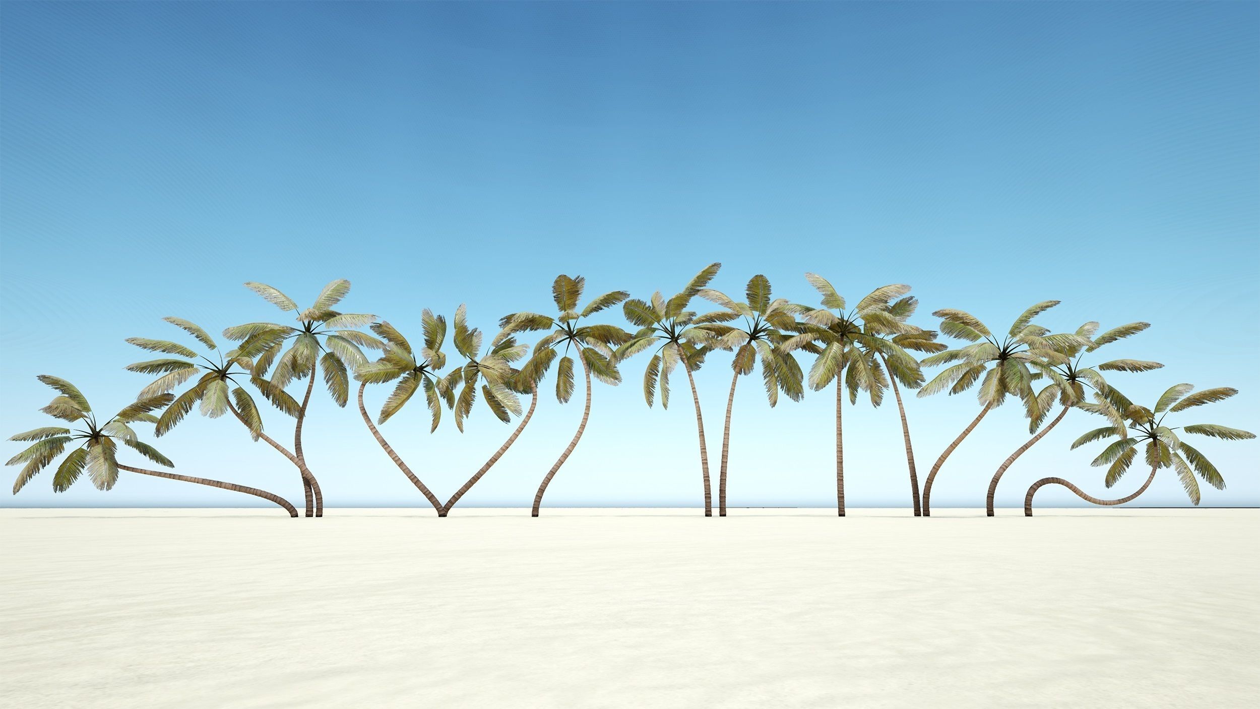 Palm trees - PBR Low-poly 3D model_7