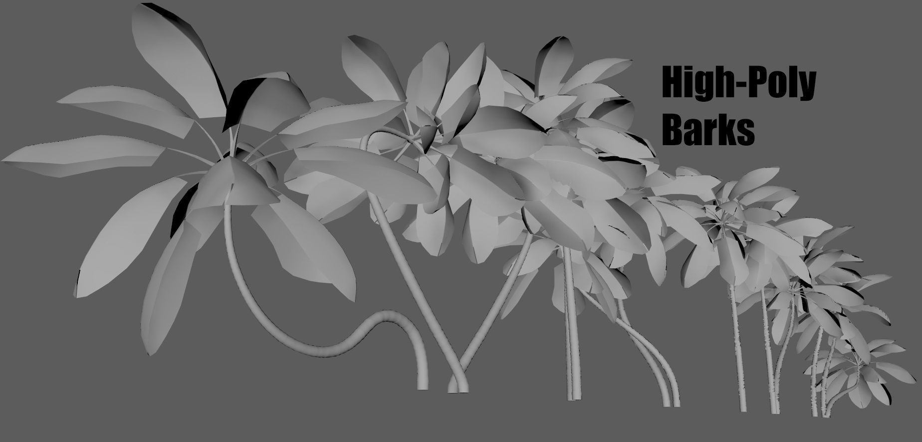 Palm trees - PBR Low-poly 3D model_10