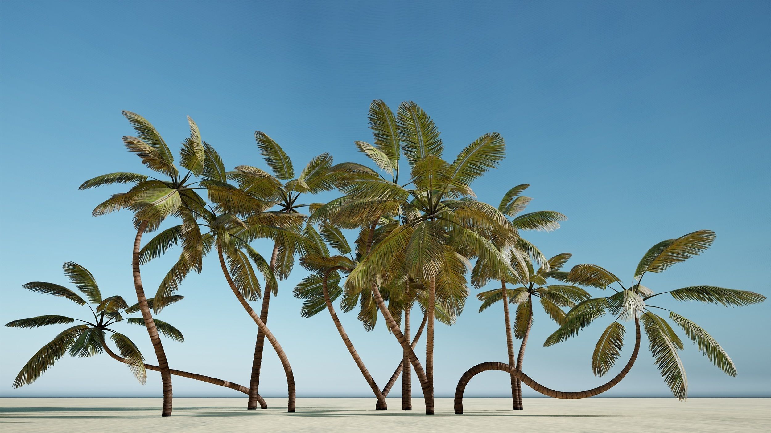 Palm trees - PBR Low-poly 3D model_18