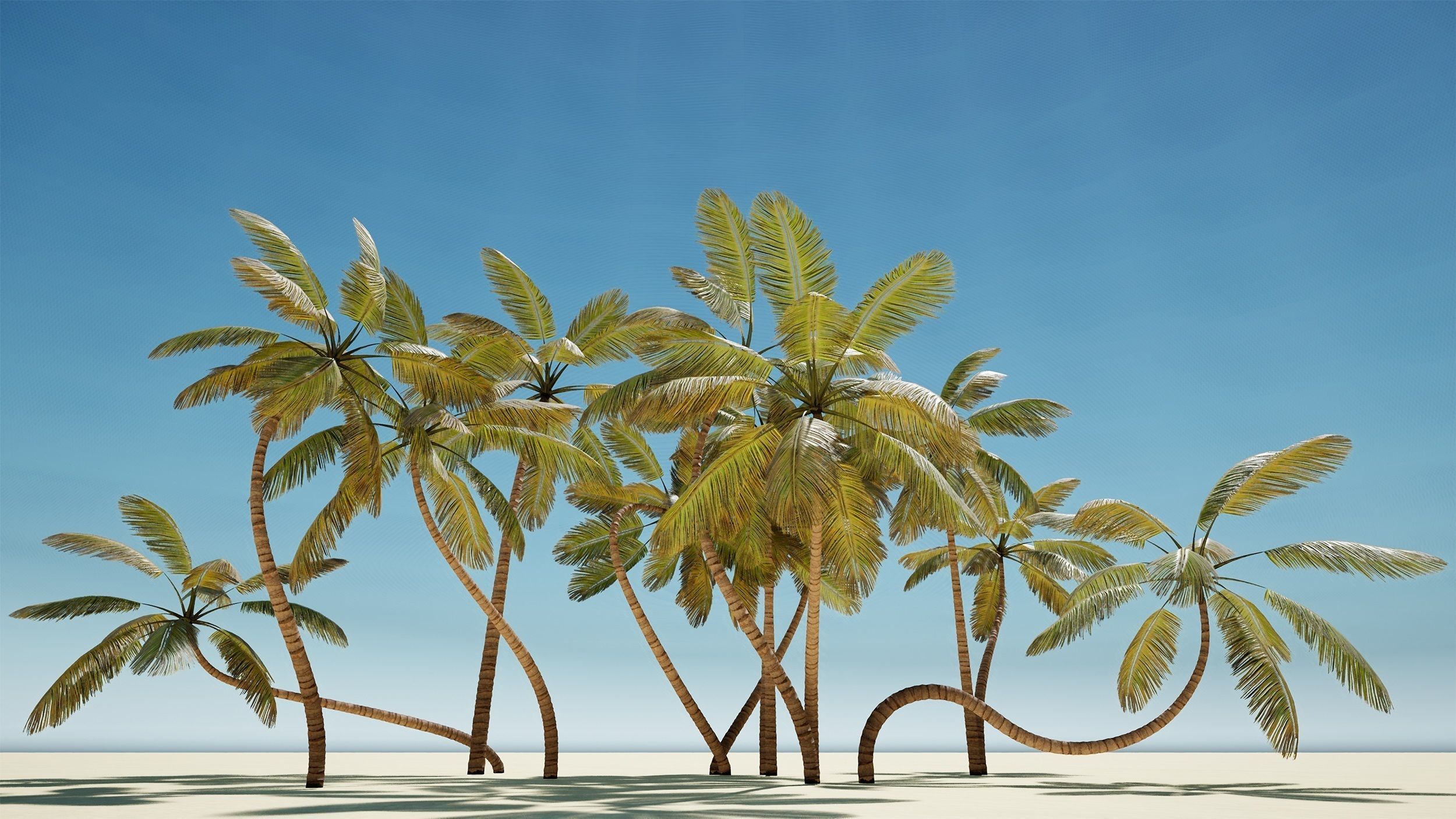 Palm trees - PBR Low-poly 3D model_17