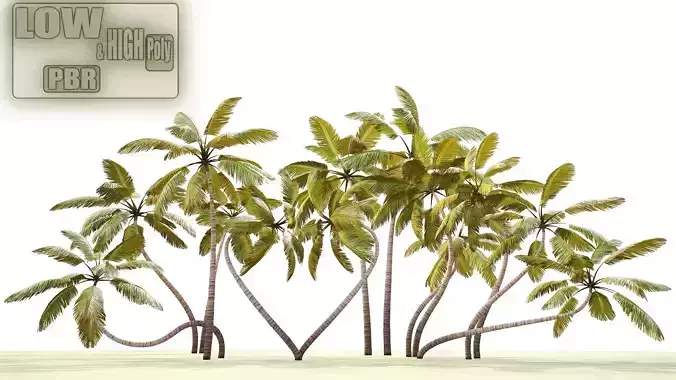 Palm trees - PBR Low-poly 3D model