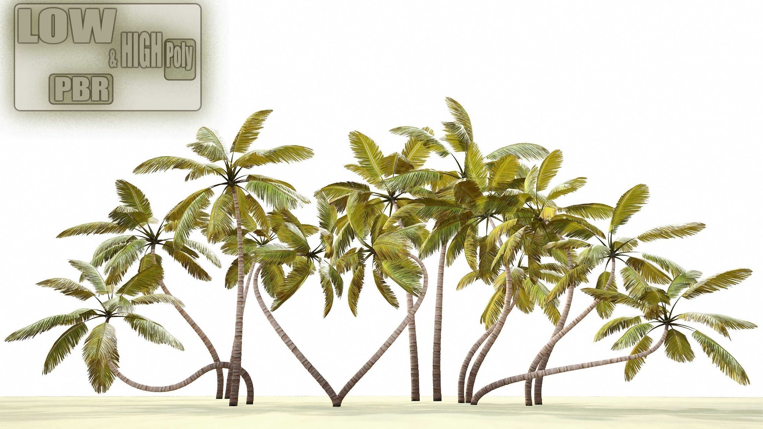 Palm trees - PBR Low-poly 3D model_0