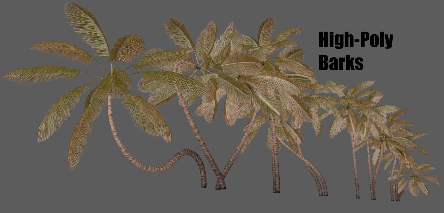 Palm trees - PBR Low-poly 3D model_11