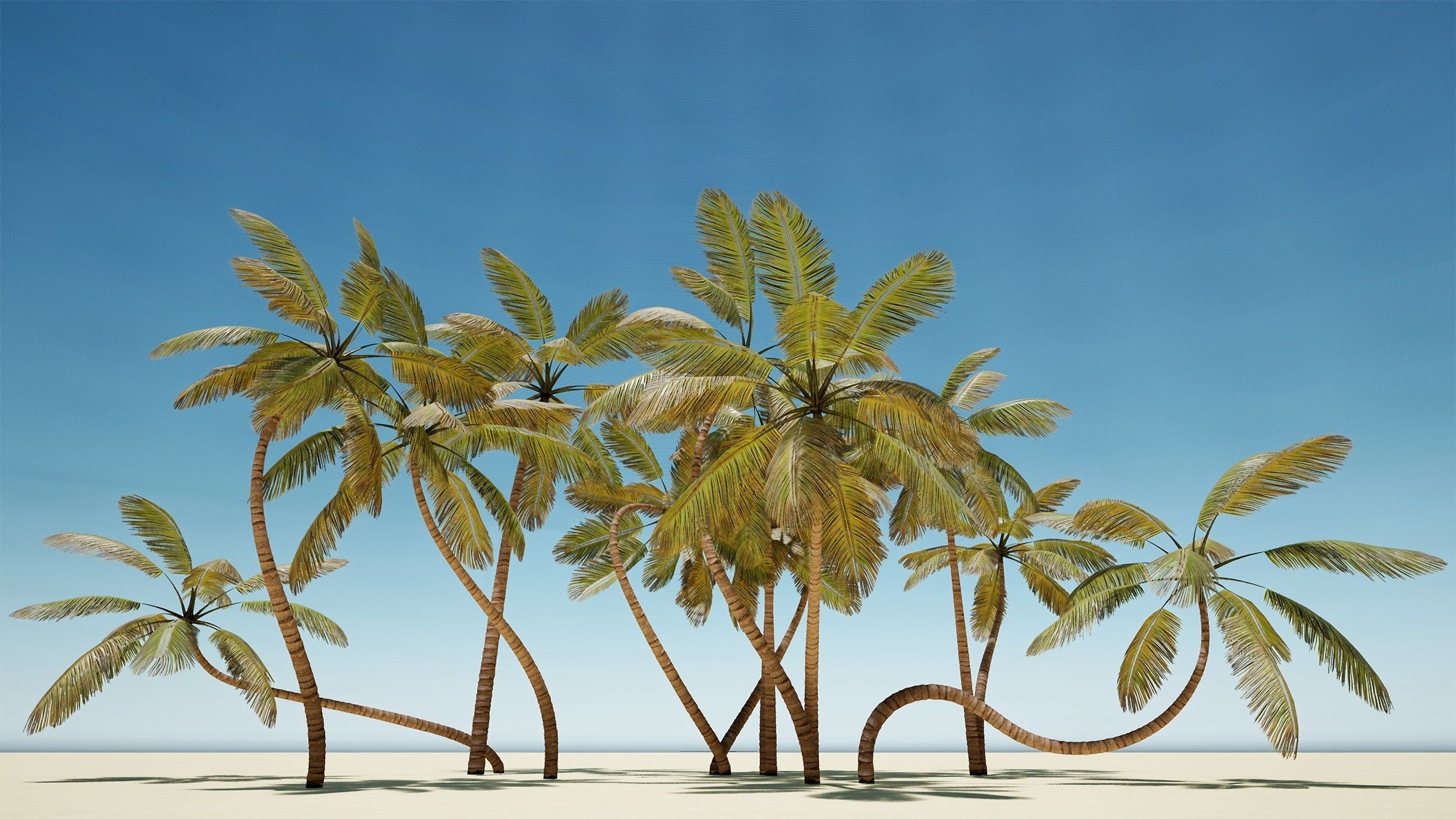 Palm trees - PBR Low-poly 3D model_16