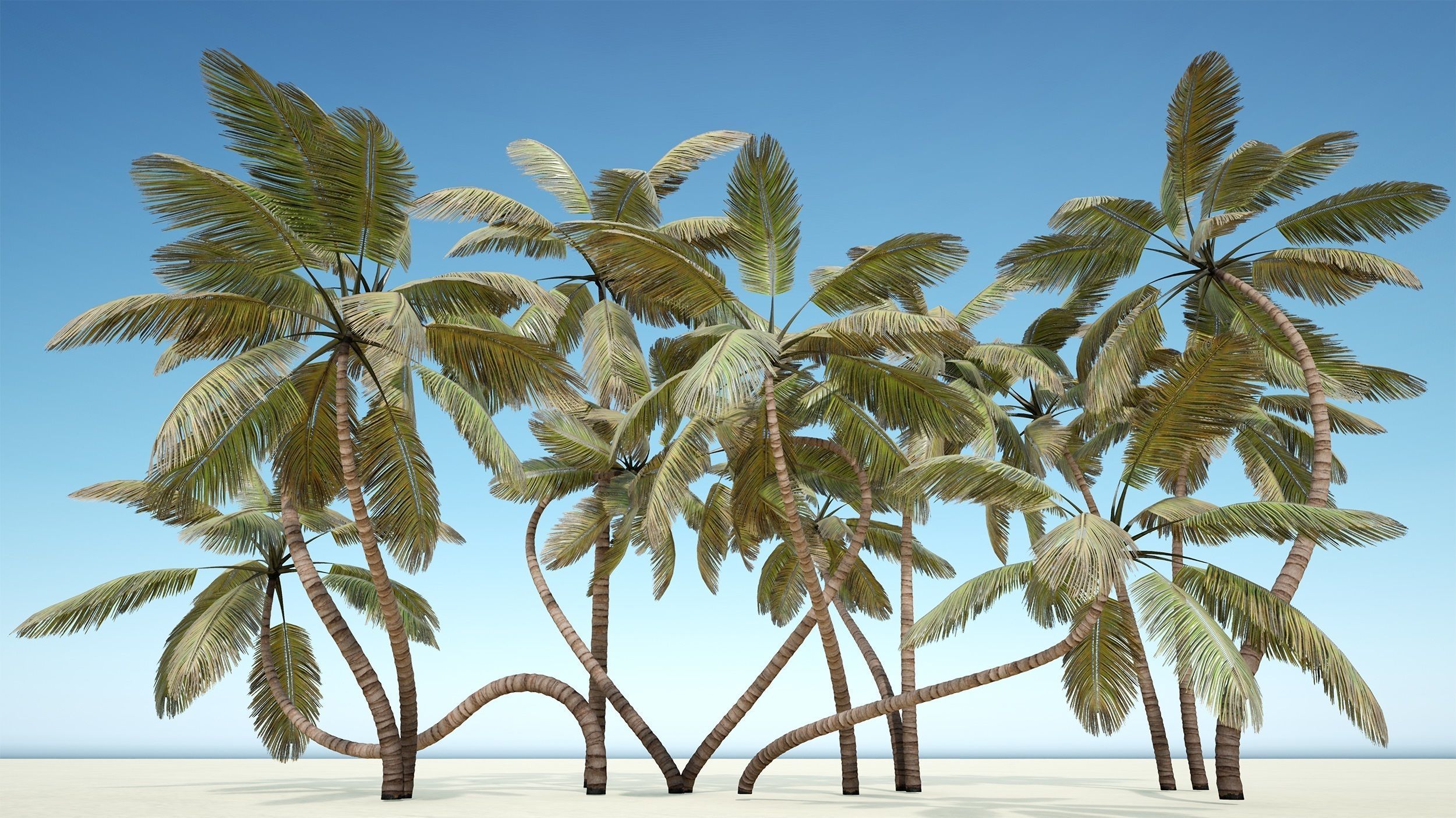 Palm trees - PBR Low-poly 3D model_19