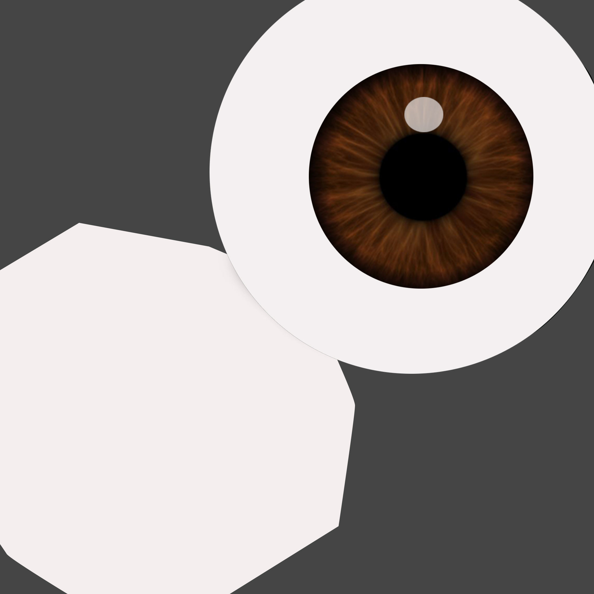 Zebra kangaroo 3D model_4