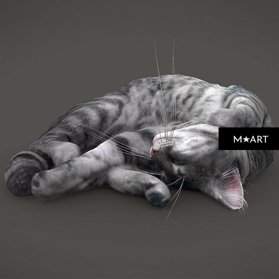 Sleeping CAT