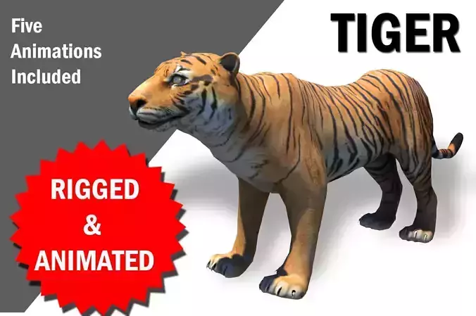 Bengol Tiger rigged and  Animated 3D model