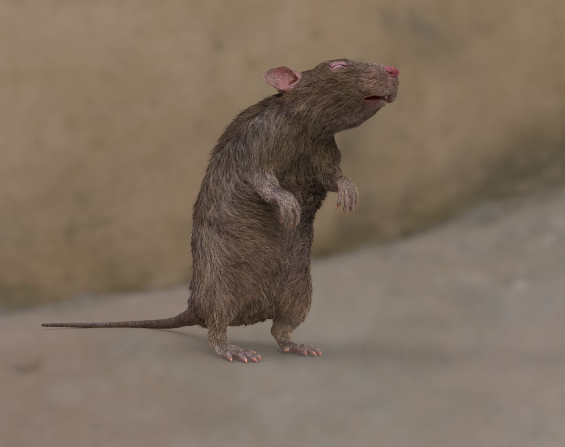 rat rig 3D model_15