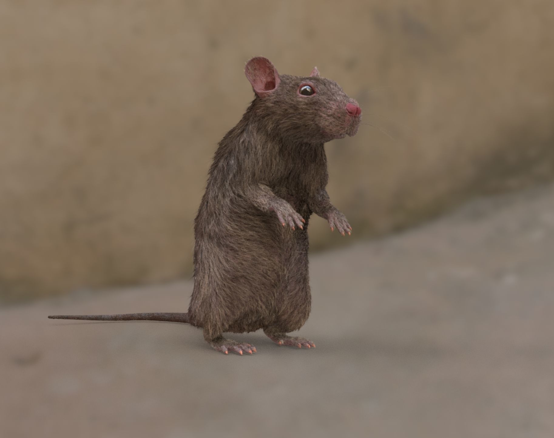 rat rig 3D model_12
