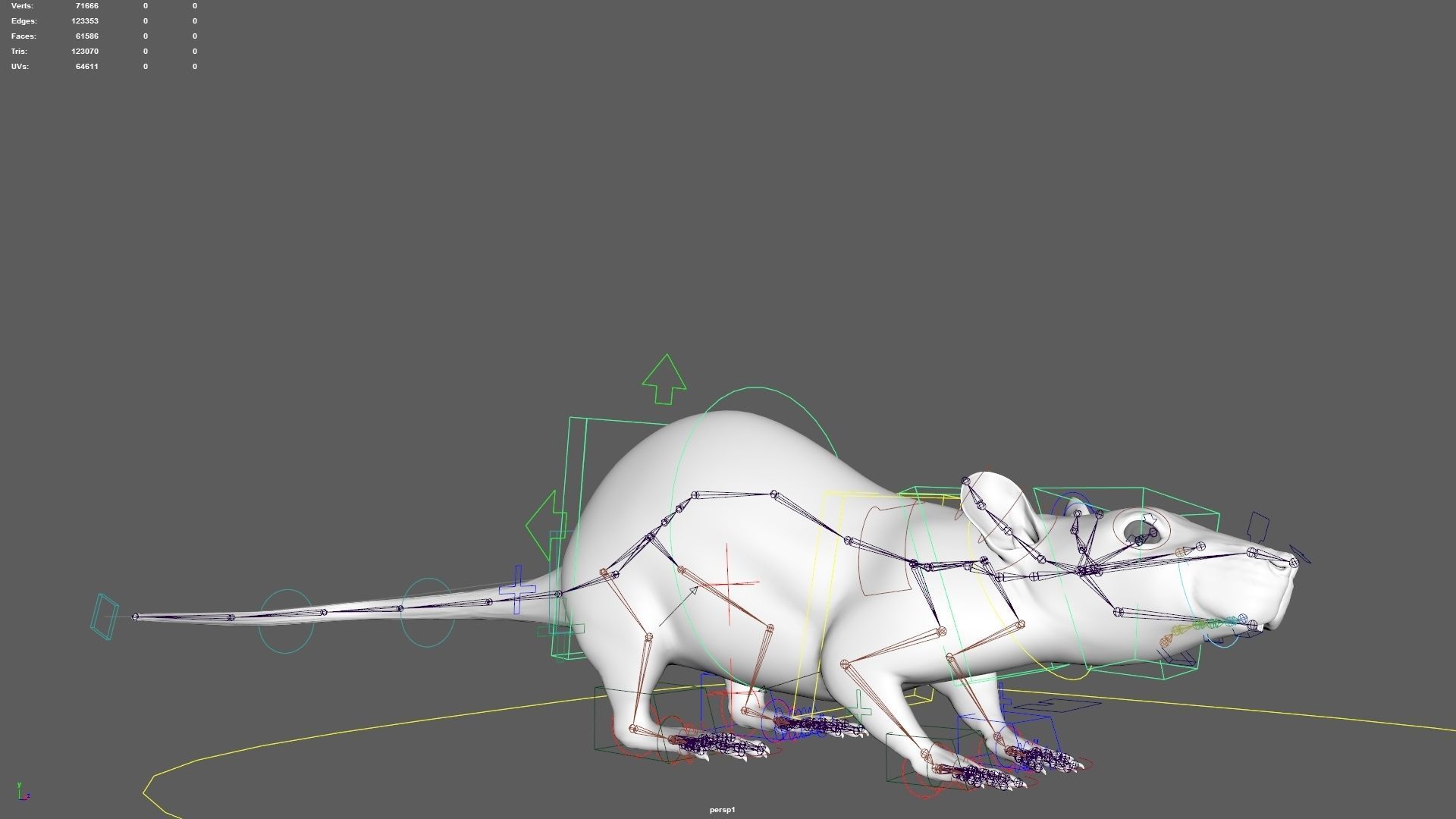 rat rig 3D model_14
