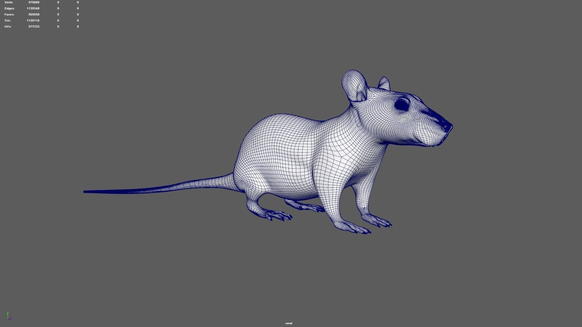 rat rig 3D model_17