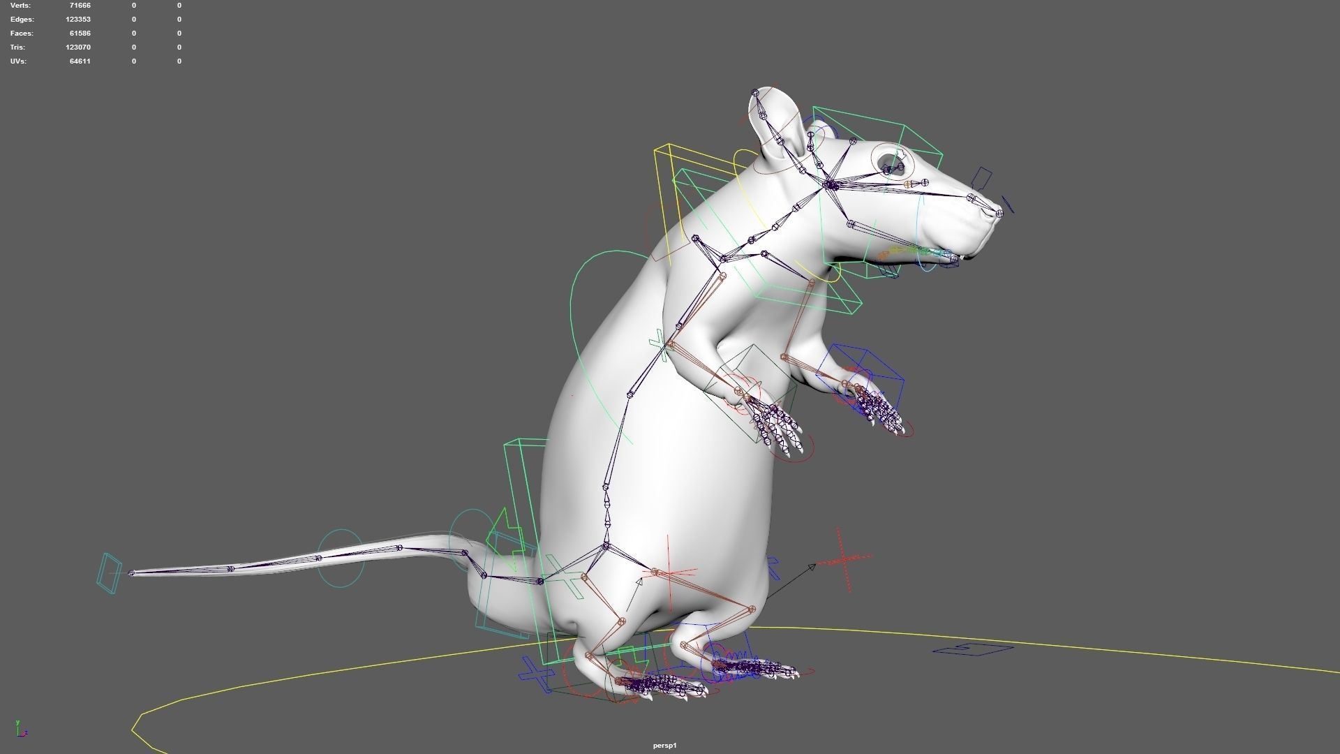 rat rig 3D model_13