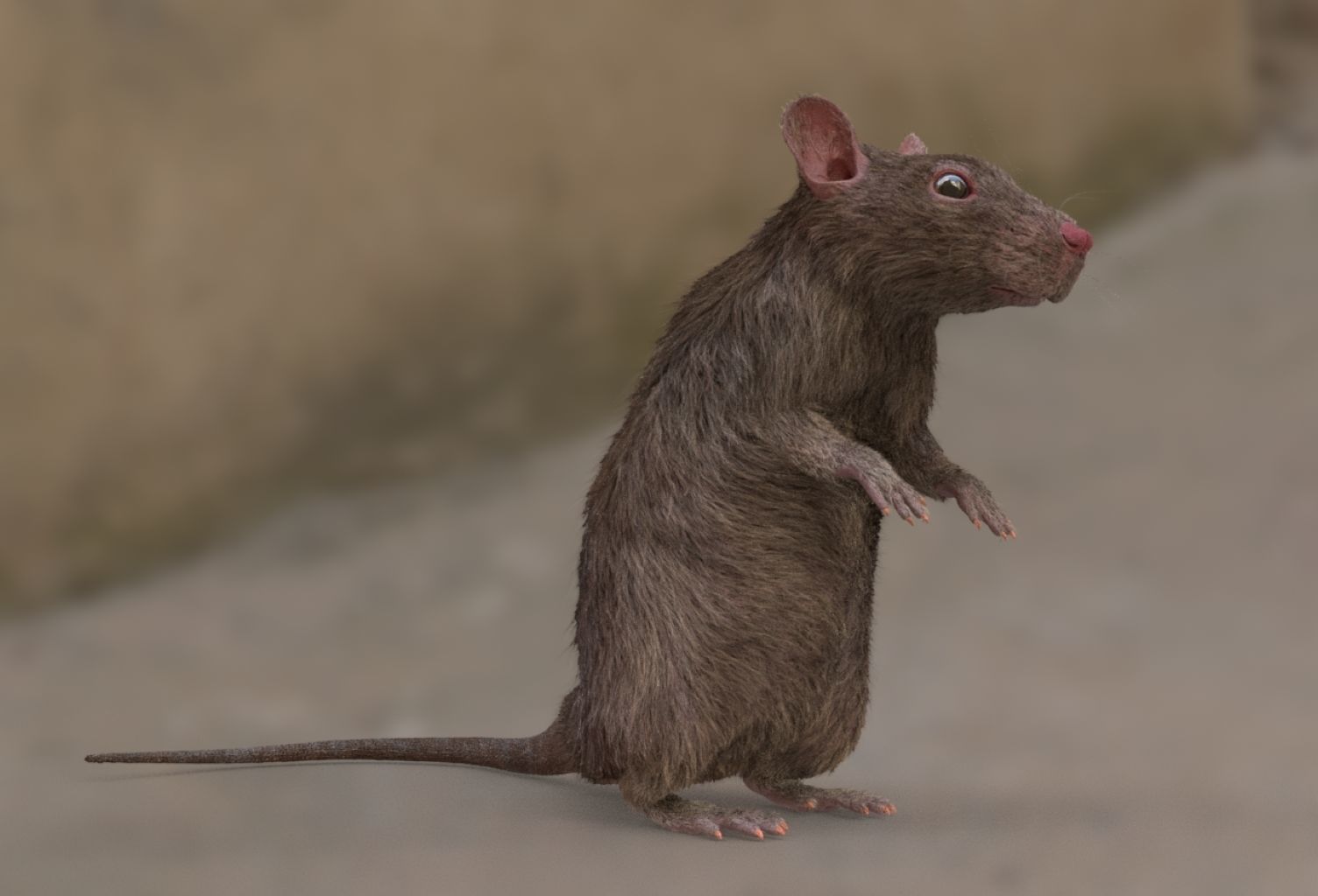 rat rig 3D model_8