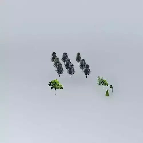 Hossein Bećirbašić